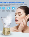 Beauty steaming face instrument - Fit Gear